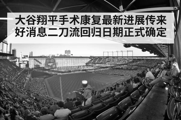 baseball stadium crowd